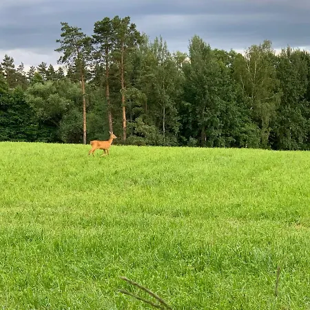 Krzyweprogi - Na Mazurach Nad Jeziorem Krzywe *
