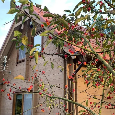 Krzyweprogi - Na Mazurach Nad Jeziorem Krzywe *