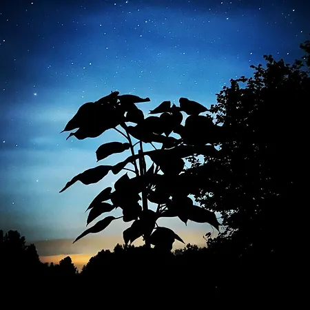 Krzyweprogi - Na Mazurach Nad Jeziorem Krzywe Dom wakacyjny *